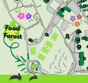 A section of map directing around the campus of USC Upstate, with a green arrow pointed at where the Food Forest is between Valley Falls Road and University Way, at the address 995 Upstate Wy, Spartanburg, SC 29303. The area is circled in green, labeled “Food Forest”, with various graphics of colorful garden vegetables, flowers, and bunnies in silhouette at the bottom.