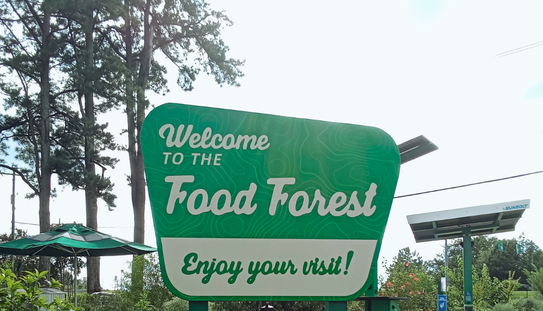 Spartans Grow Community in USC Upstate’s Food Forest
