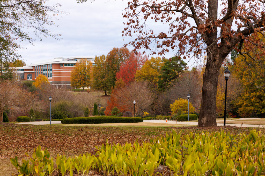Beautiful photo of fall colors in USC Upstate's arboretum