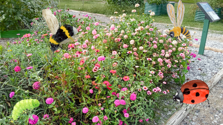 Beautiful and colorful flowers growing at the front of the Food Forest, in vibrant pinks and purples. Drawn images of a ladybug, a bee, a caterpillar, and a wasp are dotted along the flowers as if they’re taking interest.