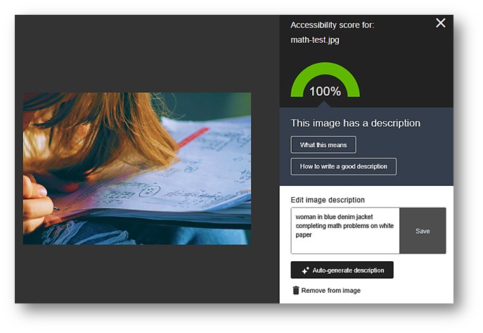 Screenshot of Ally Accessibility tool in Blackboard, featuring Auto-generate description for alt text.